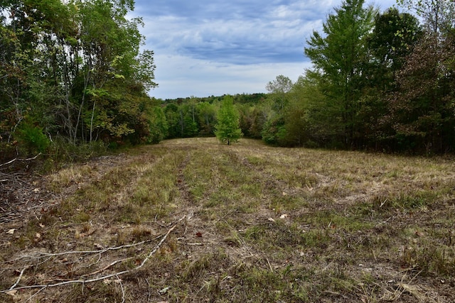 0 Bakerville Rd, Waverly, TN 37185