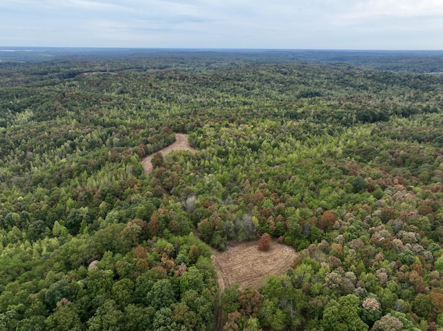 0 Bakerville Rd, Waverly, TN 37185