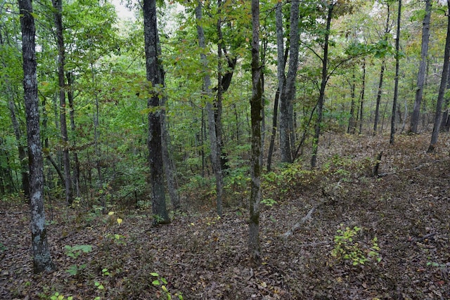 0 Bakerville Rd, Waverly, TN 37185
