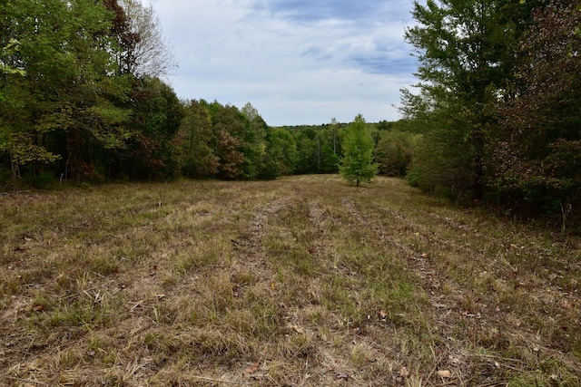 0 Bakerville Rd, Waverly, TN 37185