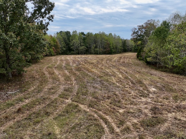 0 Bakerville Rd, Waverly, TN 37185