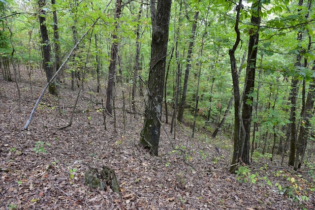 0 Bakerville Rd, Waverly, TN 37185