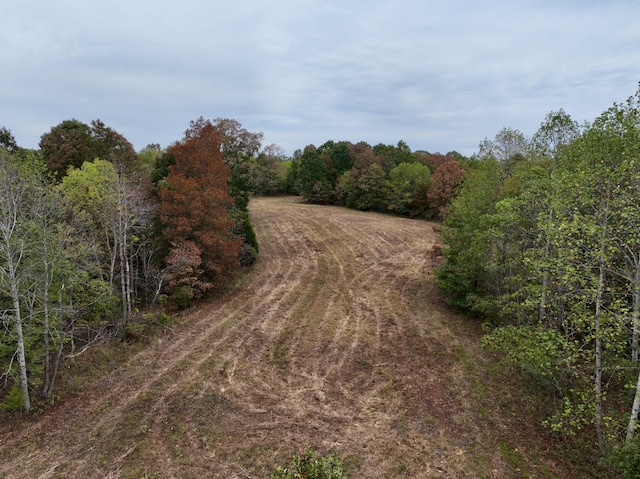 0 Bakerville Rd, Waverly, TN 37185