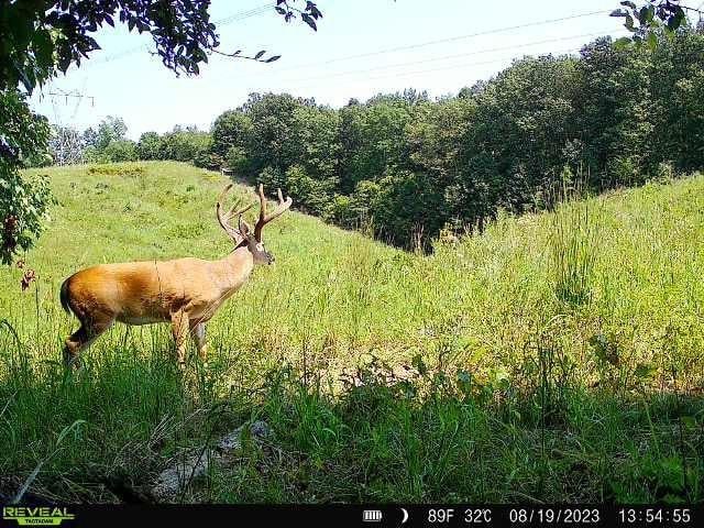 0 Bakerville Rd, Waverly, TN 37185