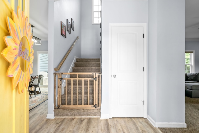 staircase with hardwood / wood-style floors