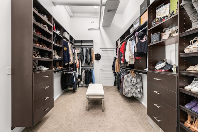 spacious closet with light carpet