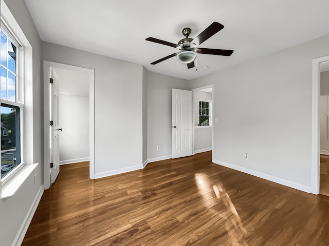 unfurnished bedroom featuring a closet, a walk in closet, ceiling fan, and dark hardwood / wood-style floors