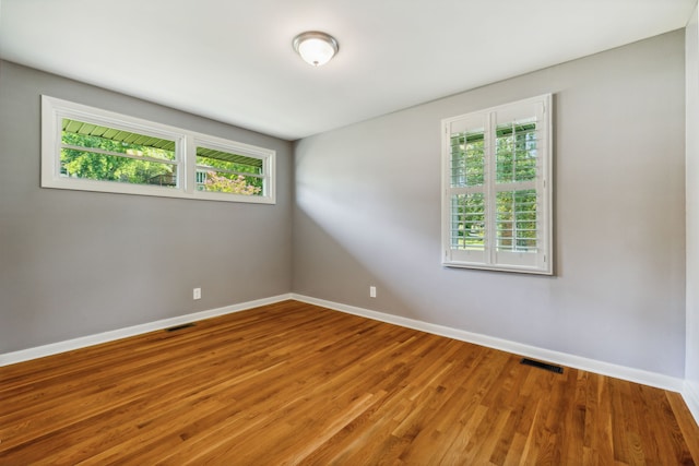 empty room featuring a wealth of natural light and wood-type flooring