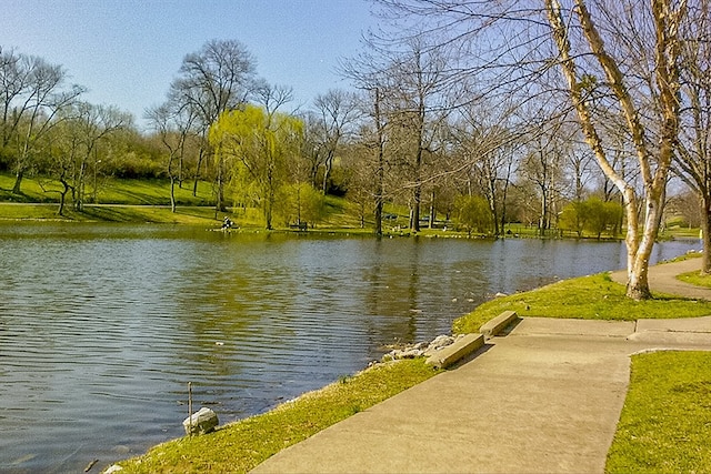 property view of water