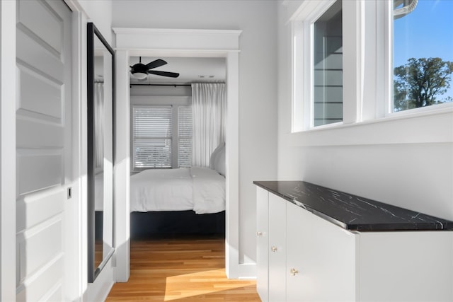 interior space featuring light wood-type flooring and ceiling fan