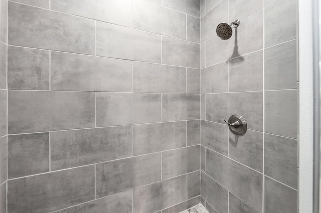 interior details with tiled shower