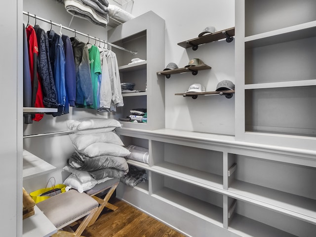 spacious closet featuring wood-type flooring