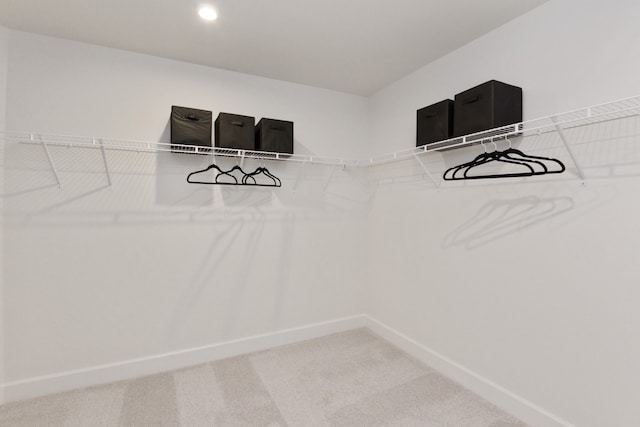 walk in closet with carpet flooring