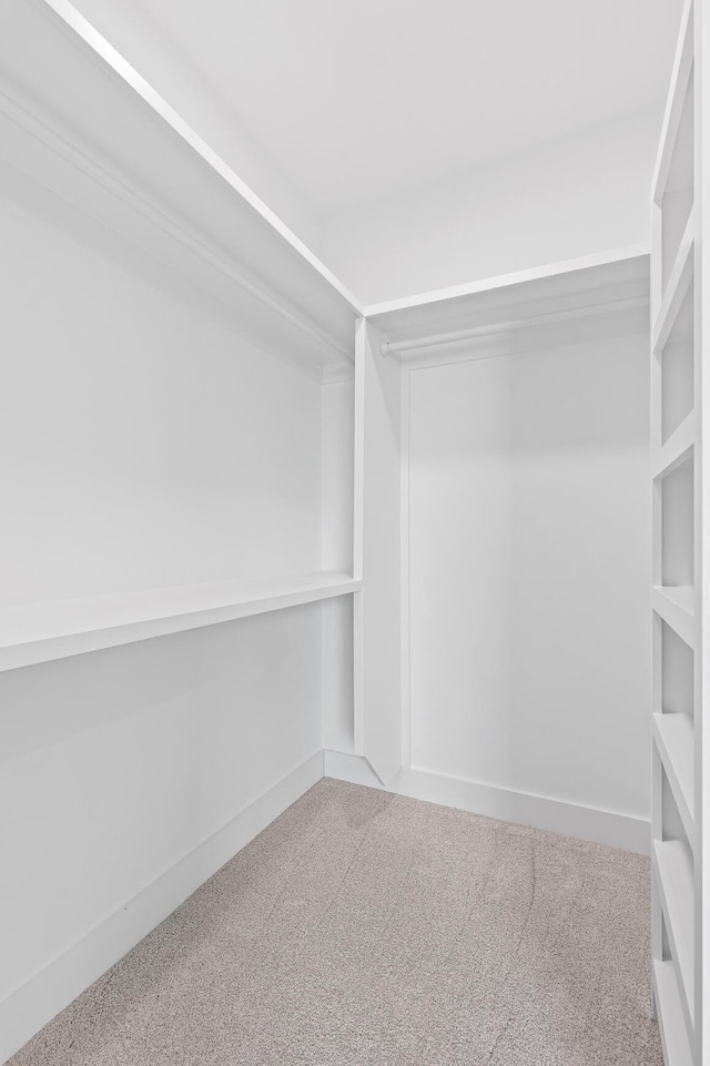 spacious closet with carpet floors