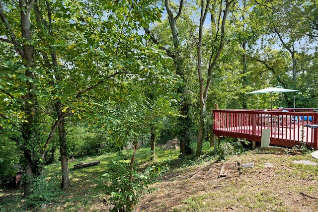 view of yard with a wooden deck