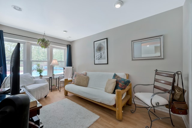 living room with light hardwood / wood-style flooring