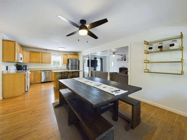 dining room with light hardwood / wood-style flooring and ceiling fan