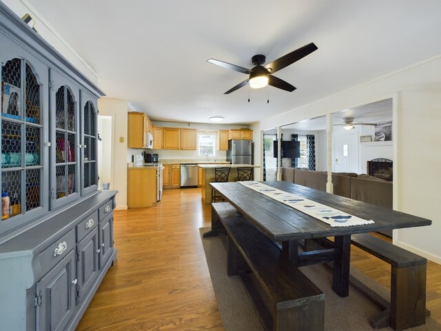 dining room featuring ceiling fan, light wood-type flooring, and a fireplace