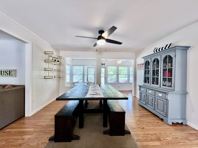 dining space featuring ceiling fan, light hardwood / wood-style floors, and crown molding