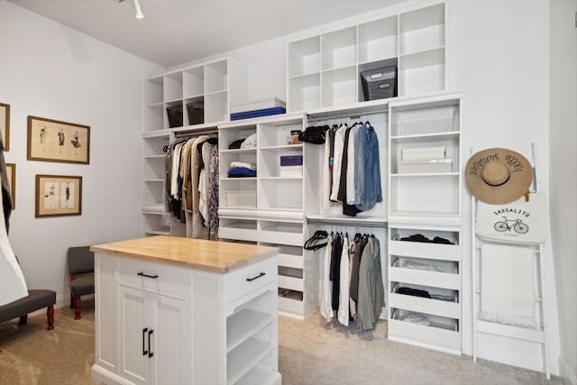 walk in closet with light carpet