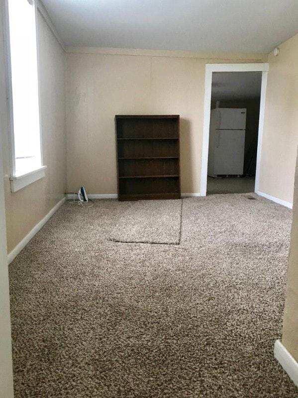 carpeted empty room featuring crown molding