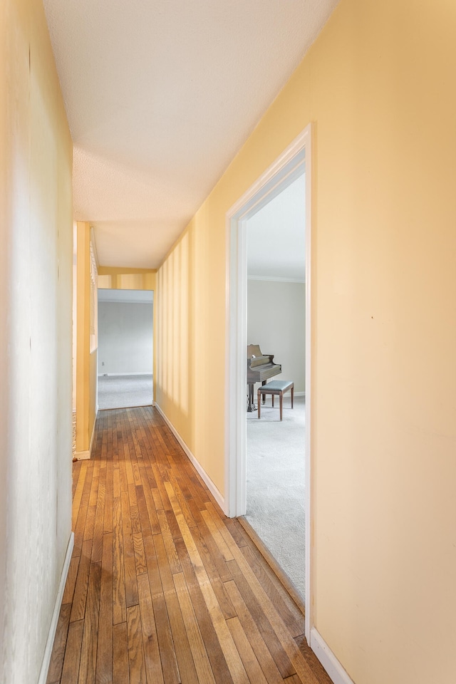 corridor featuring wood-type flooring