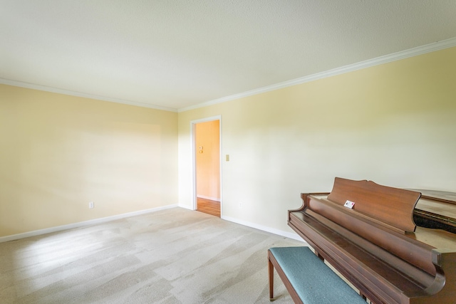 misc room featuring light colored carpet and ornamental molding