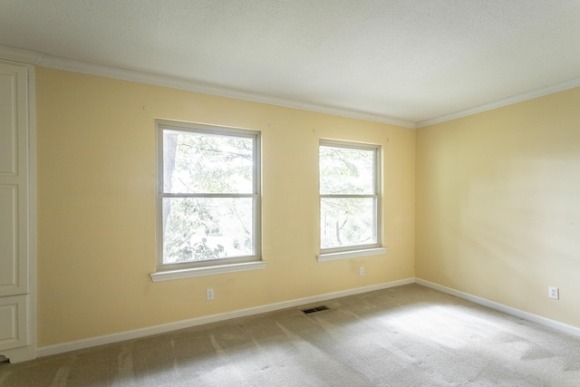 spare room featuring ornamental molding, a textured ceiling, and light colored carpet