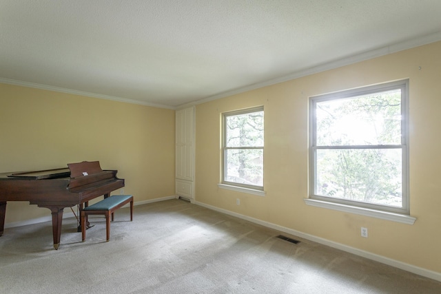 misc room featuring light carpet, ornamental molding, and a wealth of natural light