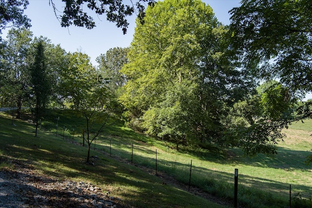 view of yard with a rural view