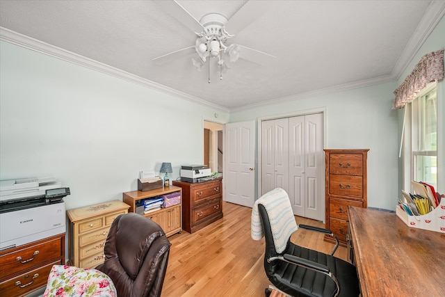 home office with crown molding, ceiling fan, and light hardwood / wood-style flooring