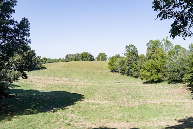 view of yard featuring a rural view