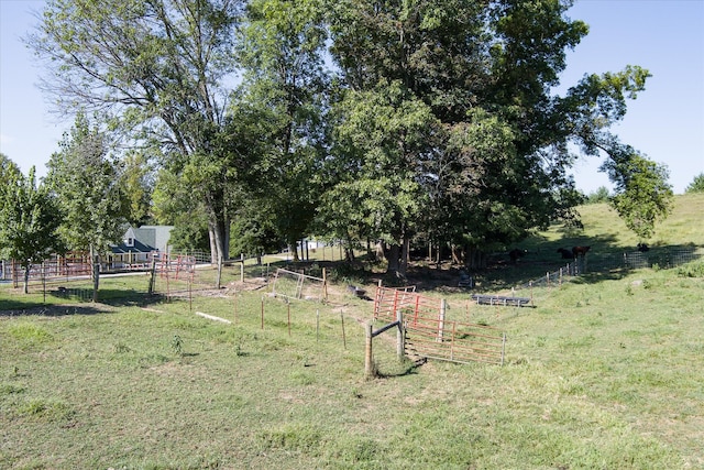 view of yard with a rural view