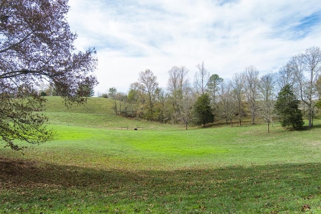 view of yard with a rural view