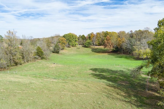 view of yard featuring a rural view