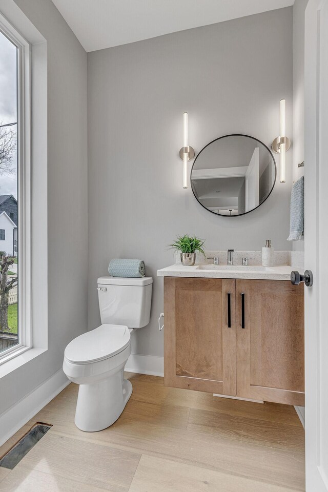 bathroom featuring vanity, toilet, and wood-type flooring