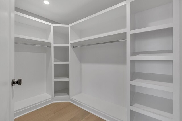 spacious closet featuring wood-type flooring