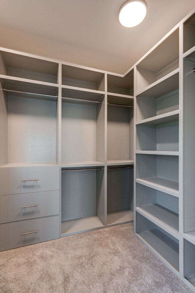 walk in closet featuring carpet flooring