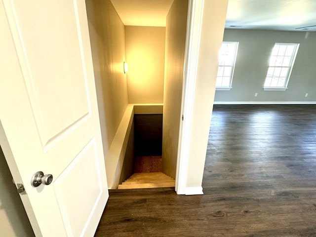 stairway featuring hardwood / wood-style flooring