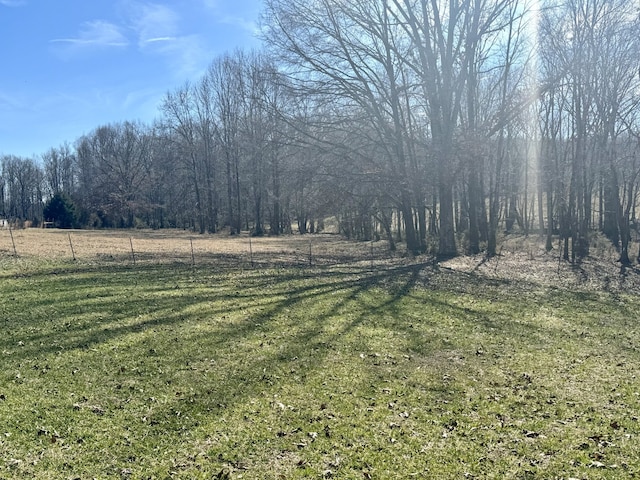 view of yard with a rural view