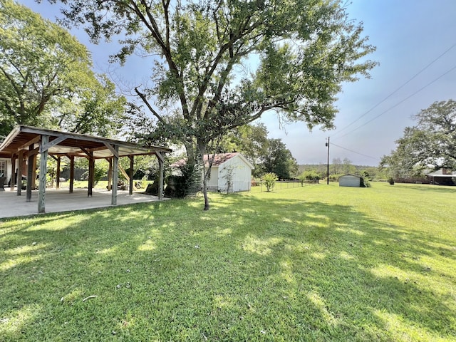 view of yard featuring a storage unit and a patio area