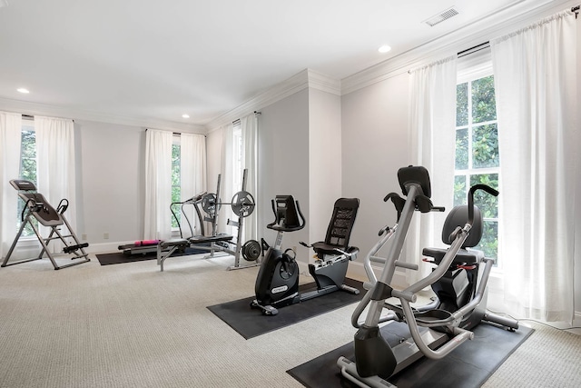 workout area featuring crown molding, plenty of natural light, and carpet flooring