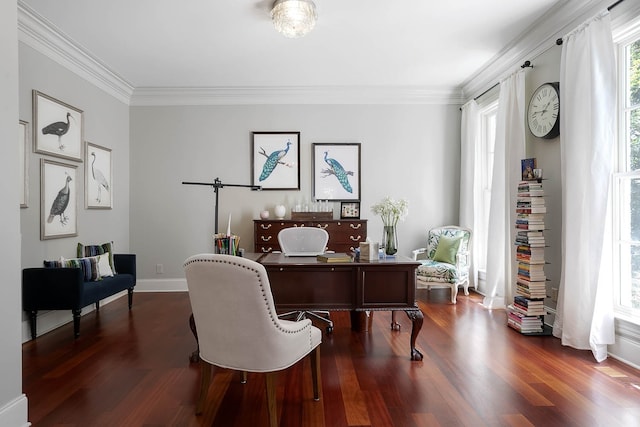 office area with crown molding and dark hardwood / wood-style flooring