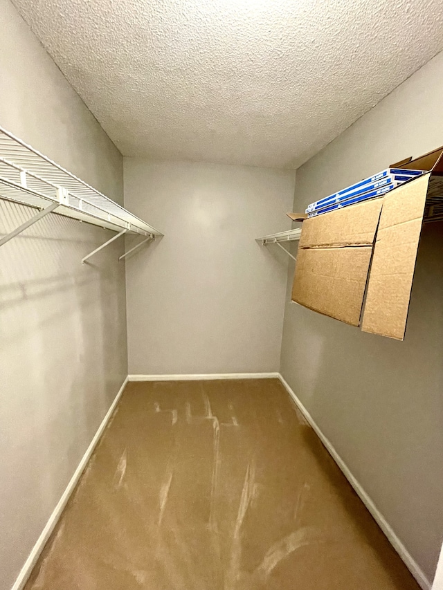 walk in closet with carpet flooring