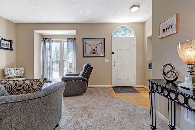 carpeted entryway with a healthy amount of sunlight and a textured ceiling