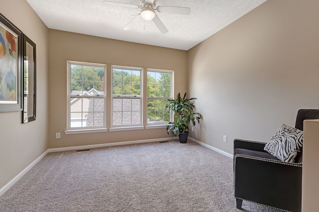 sitting room with plenty of natural light, carpet, and a textured ceiling