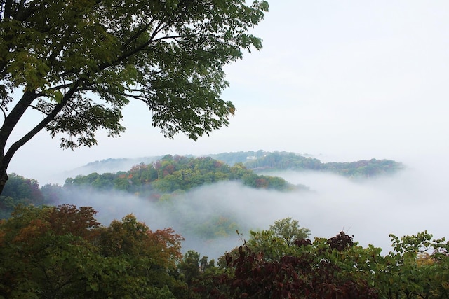 5053 Villa Crest Dr, Nashville, TN 37220 - water view with a heavily wooded area