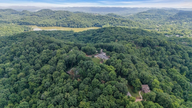 5053 Villa Crest Dr, Nashville, TN 37220 - drone / aerial view of a mountainous background