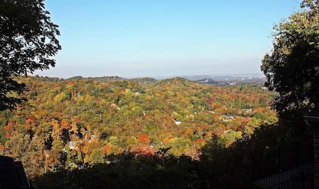 5053 Villa Crest Dr, Nashville, TN 37220 - view of mountain backdrop featuring a forest