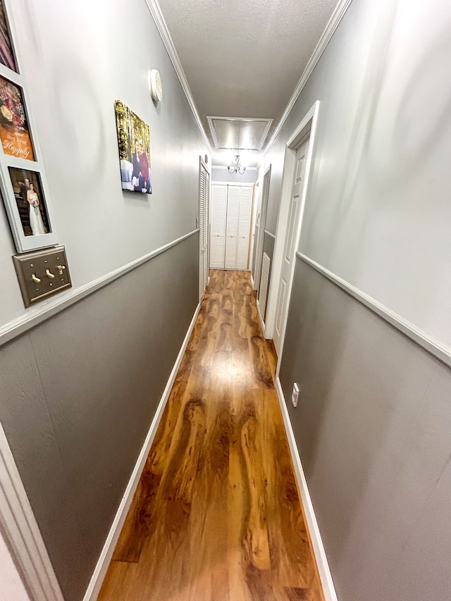 corridor featuring ornamental molding and wood-type flooring